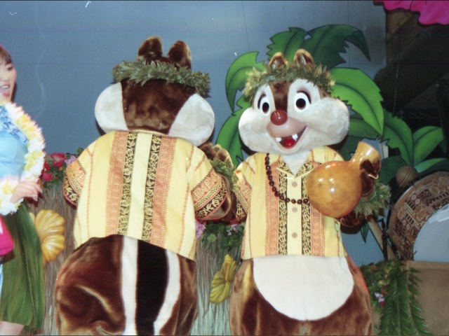 チップとデール（リロのルアウ＆ファン）