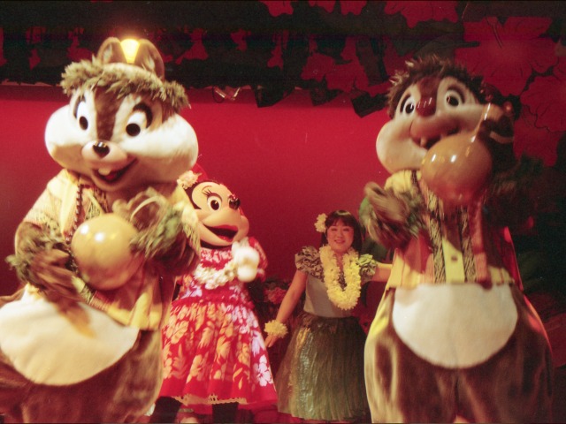 チップとデール（リロのルアウ＆ファン）