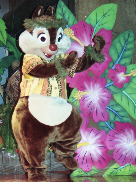 デール（リロのルアウ＆ファン）