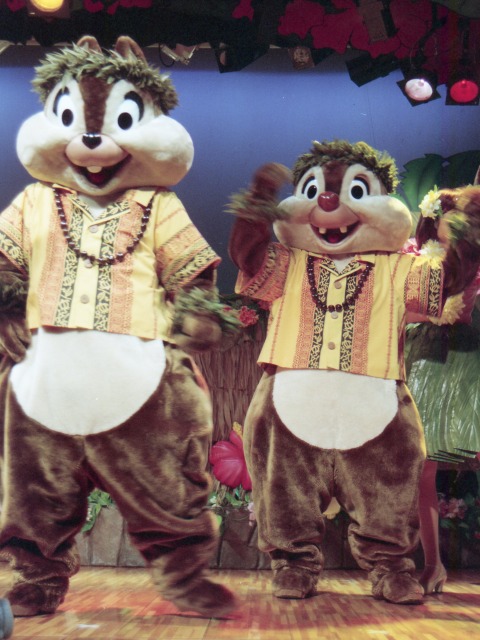 チップとデール（リロのルアウ＆ファン）