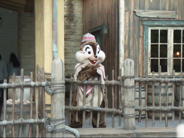 チップ（ロストリバーデルタ）