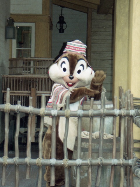 チップ（ロストリバーデルタ）