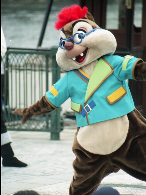 デール（ミート＆スマイル）