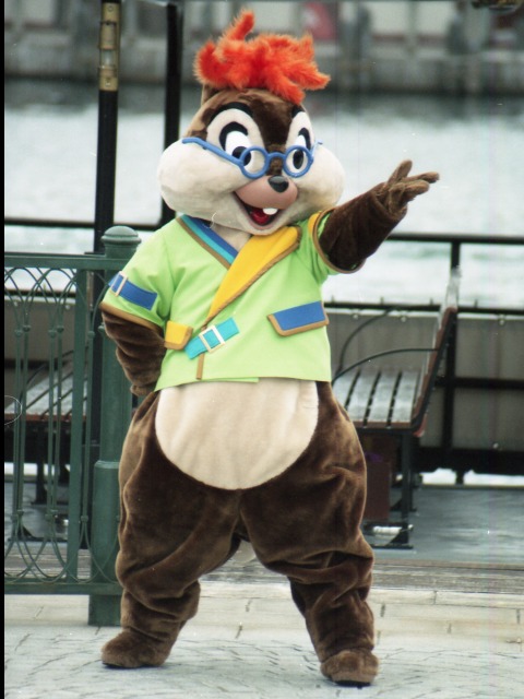 チップ（ミート＆スマイル）