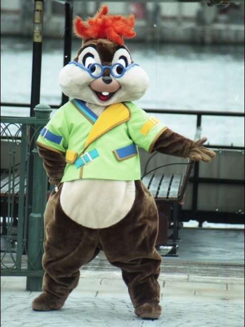 チップ（ミート＆スマイル）