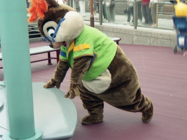 チップ（ポートディスカバリー）