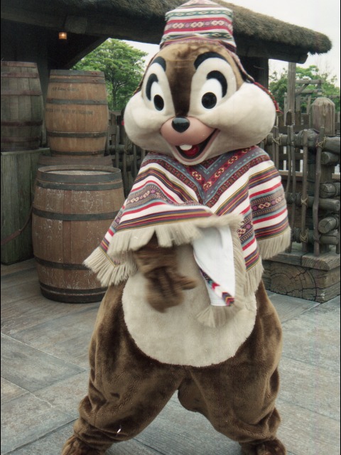 チップ（ロストリバーデルタ）