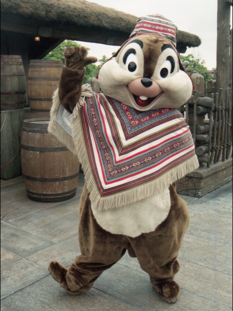 チップ（ロストリバーデルタ）