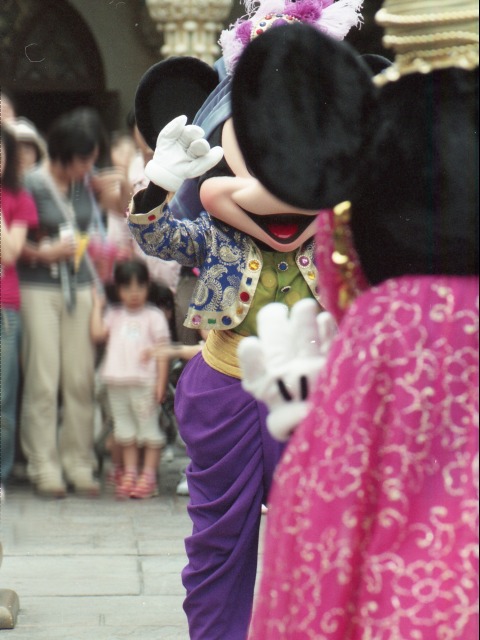 ミッキーとミニー（アラジンのホールニューワールド）