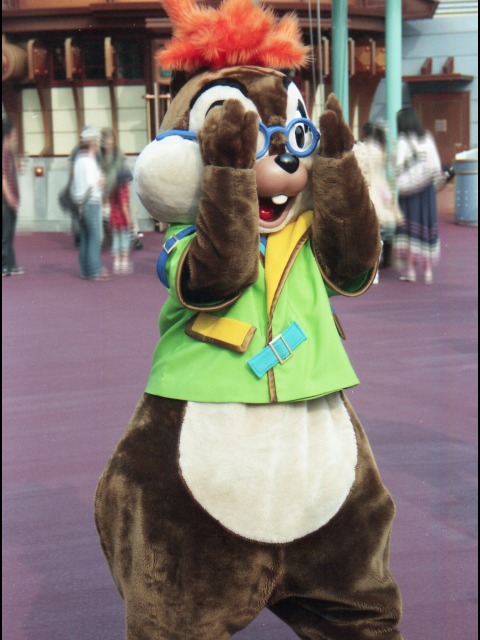 チップ（ポートディスカバリー）