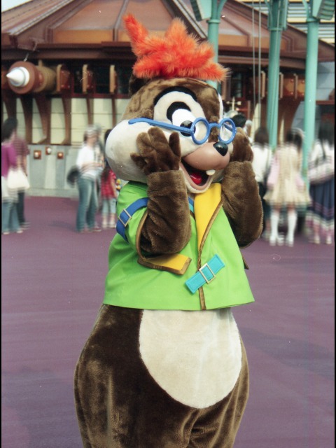 チップ（ポートディスカバリー）