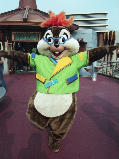 チップ（ポートディスカバリー）