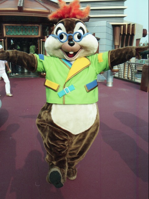 チップ（ポートディスカバリー）