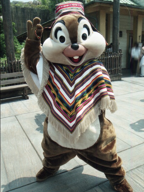 チップ(ロストリバーデルタ)