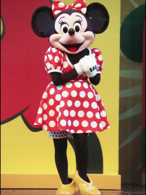 ミニーマウス(ファンダフル・ディズニー メンバーズパーティー)