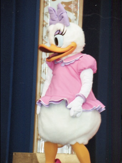 デイジーダック(ファンダフル・ディズニー メンバーズパーティー)