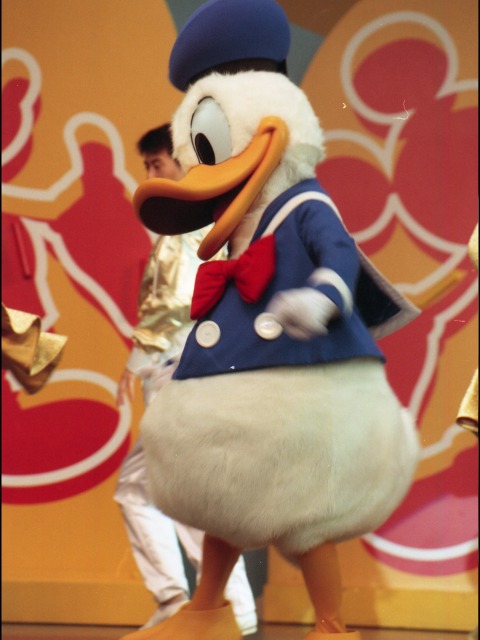 ドナルドダック(ファンダフル・ディズニー メンバーズパーティー)