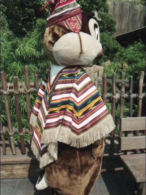 チップ（ロストリバーデルタ）