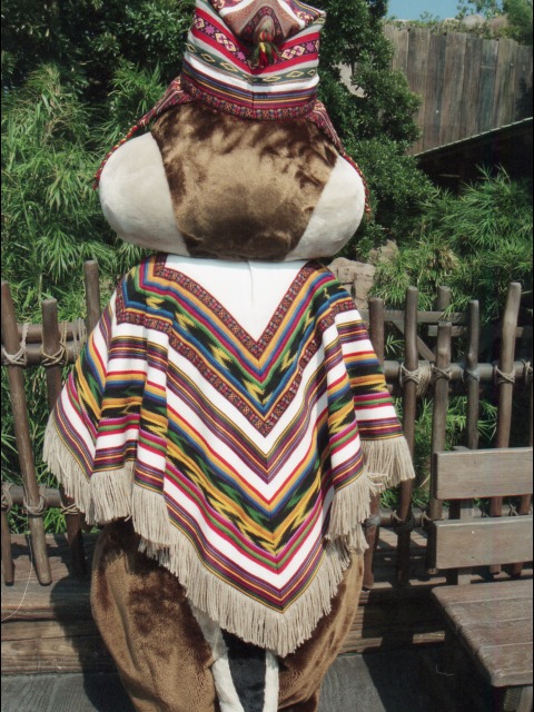 チップ（ロストリバーデルタ）