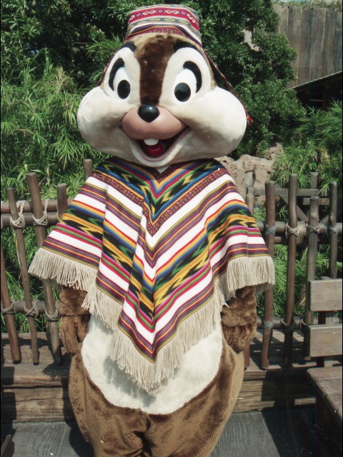 チップ（ロストリバーデルタ）