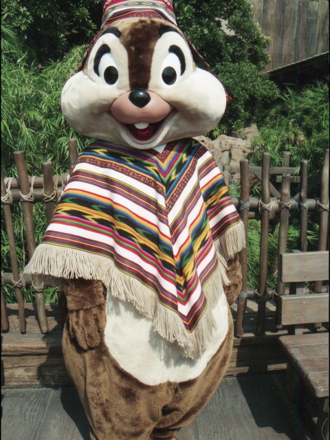 チップ（ロストリバーデルタ）