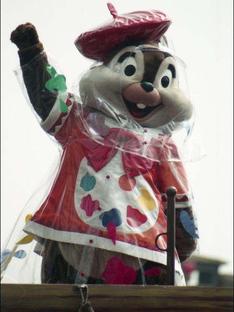 チップ（ポルト・パラディーゾ・ウォーターカーニバル）