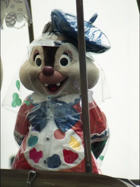 デール（ポルト・パラディーゾ・ウォーターカーニバル）