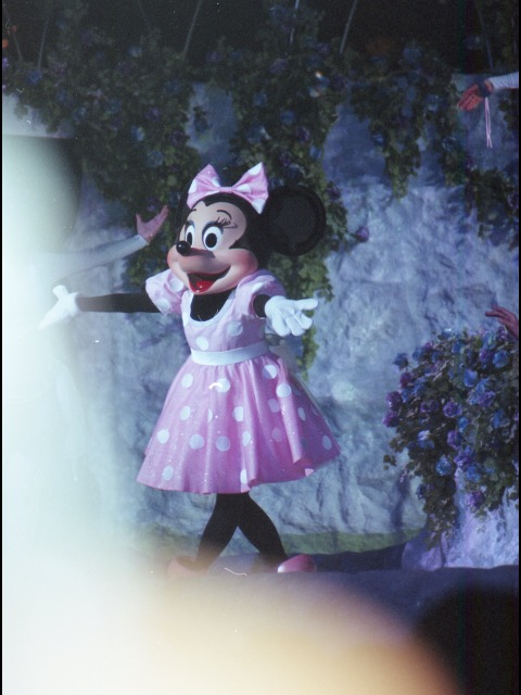 ミニーマウス（ウィッシュ）