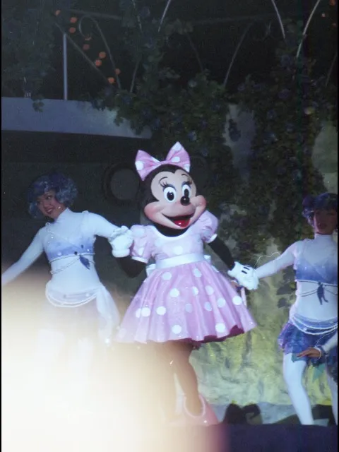 ミニーマウス（ウィッシュ）