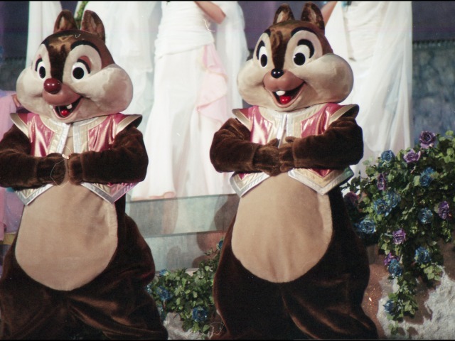 デールとチップ（ウィッシュ）