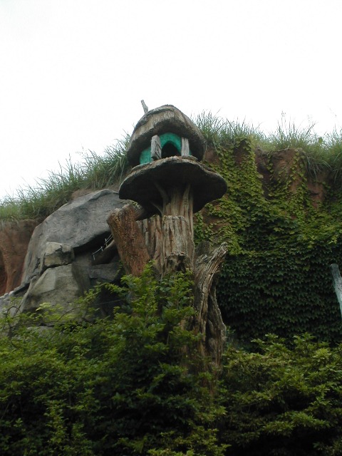 高い木の上の家（クリッターカントリー）