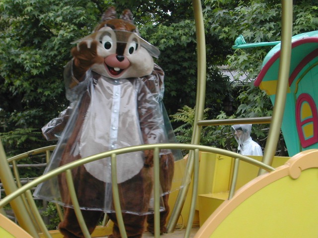 チップ（レイニーデイ・ファン）