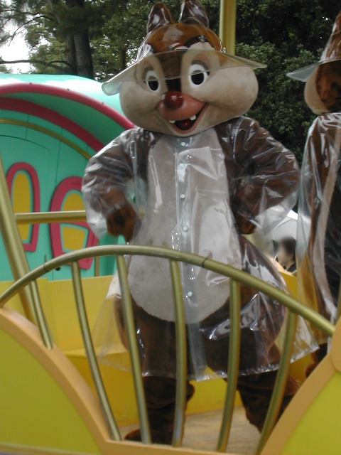 デール（レイニーデイ・ファン）