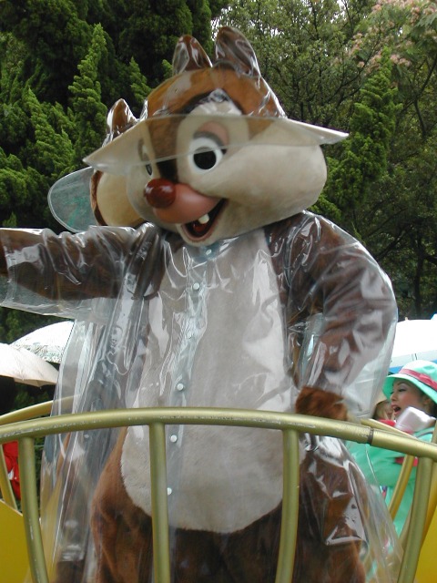 デール（レイニーデイ・ファン）