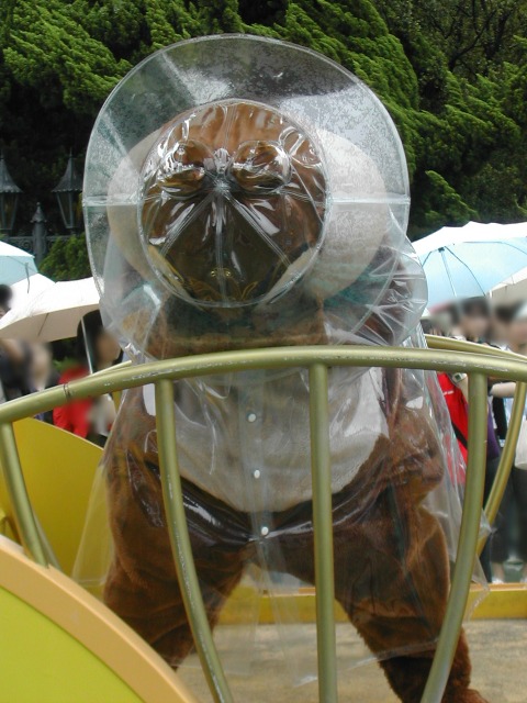 チップ（レイニーデイ・ファン）