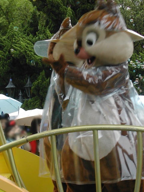 チップ（レイニーデイ・ファン）