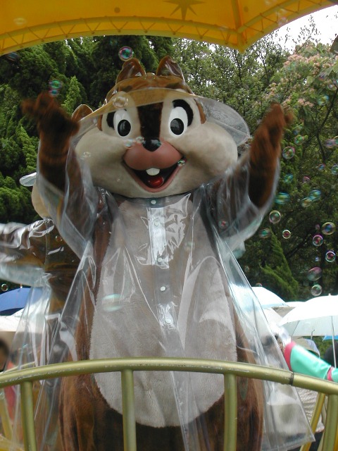 チップ（レイニーデイ・ファン）