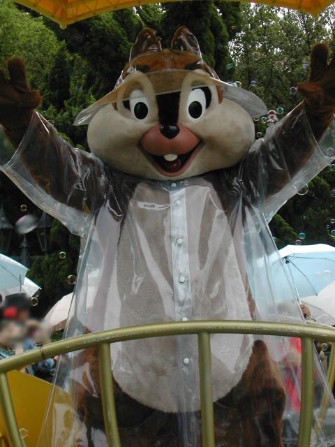 チップ（レイニーデイ・ファン）