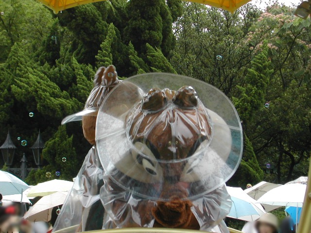 チップ（レイニーデイ・ファン）