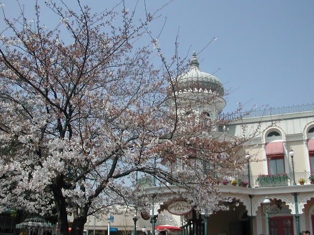 桜（ディズニーランド プラザ）
