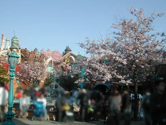 桜(トゥーンタウン)
