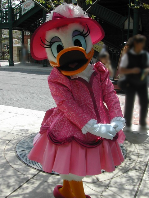 デイジーダック（アメリカンウォーターフロント）