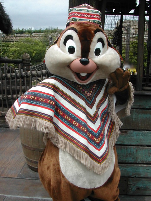 チップ（ロストリバーデルタ）