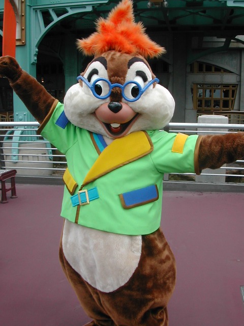 チップ（ポートディスカバリー）