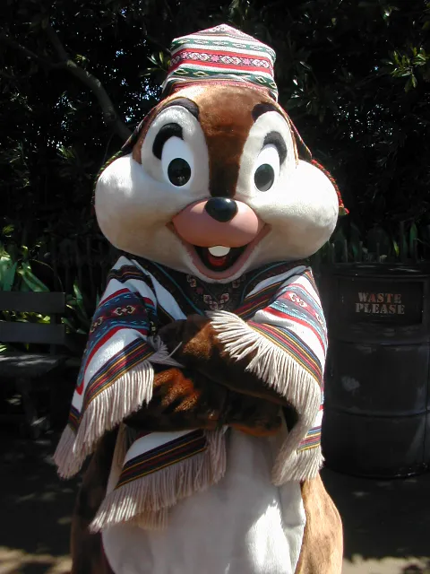 チップ（ロストリバーデルタ）