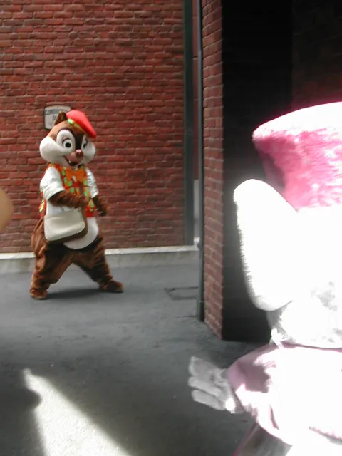 デール(アメリカンウォーターフロント)