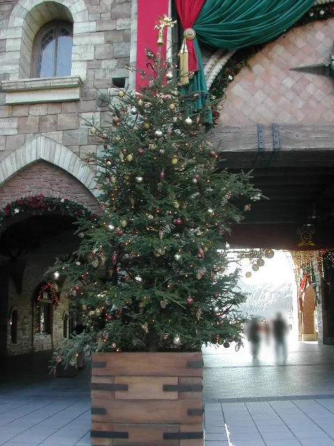 ミラコスタ通り入り口のクリスマスツリー ミッキーサイド（ハーバーサイド・クリスマス 2004）