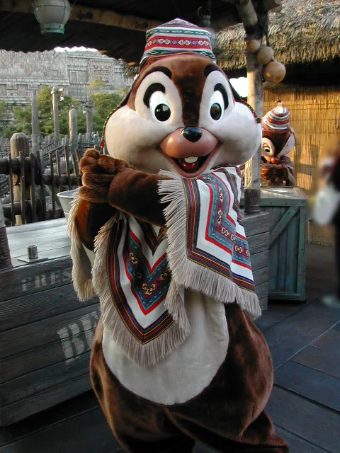 チップ（ロストリバーデルタ）