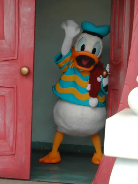 ドナルドダック（トゥーンタウン）