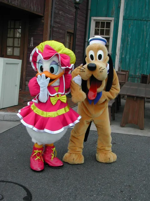 デイジーとプルート（ケープコッド）